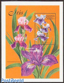 Siberian Iris s/s